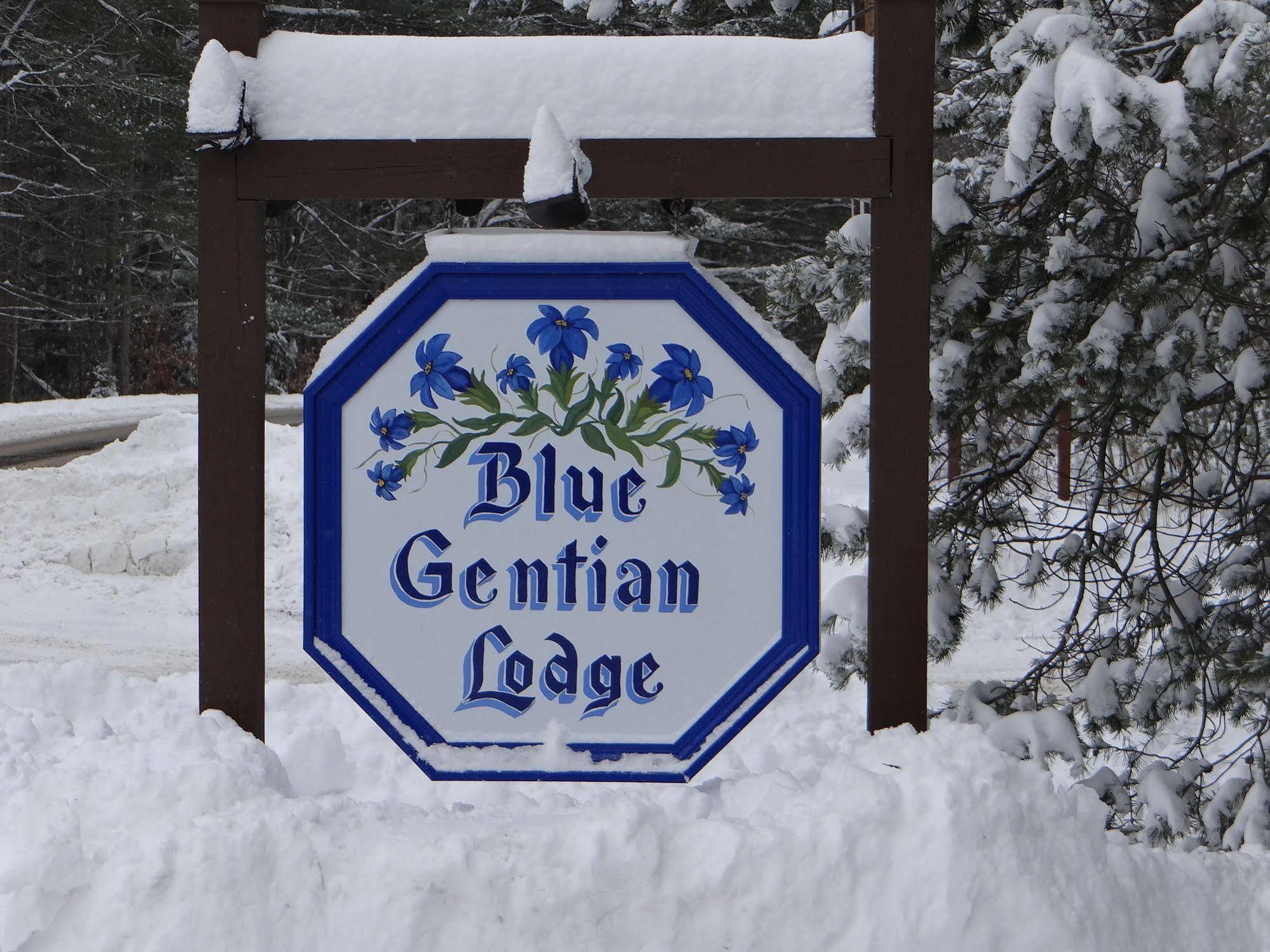 Blue Gentian Lodge At Magic Mountain Londonderry Exteriér fotografie